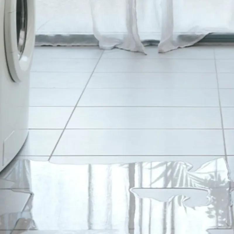 Appliance Leak Cleanup in Denham Springs, LA